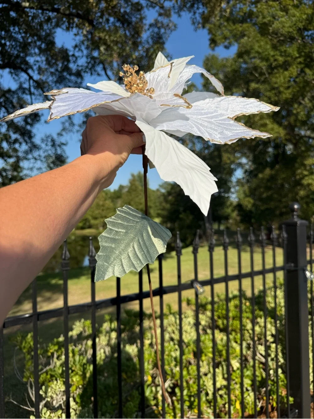 18 Large White Gold Poinsettia Floral Stems Bundle